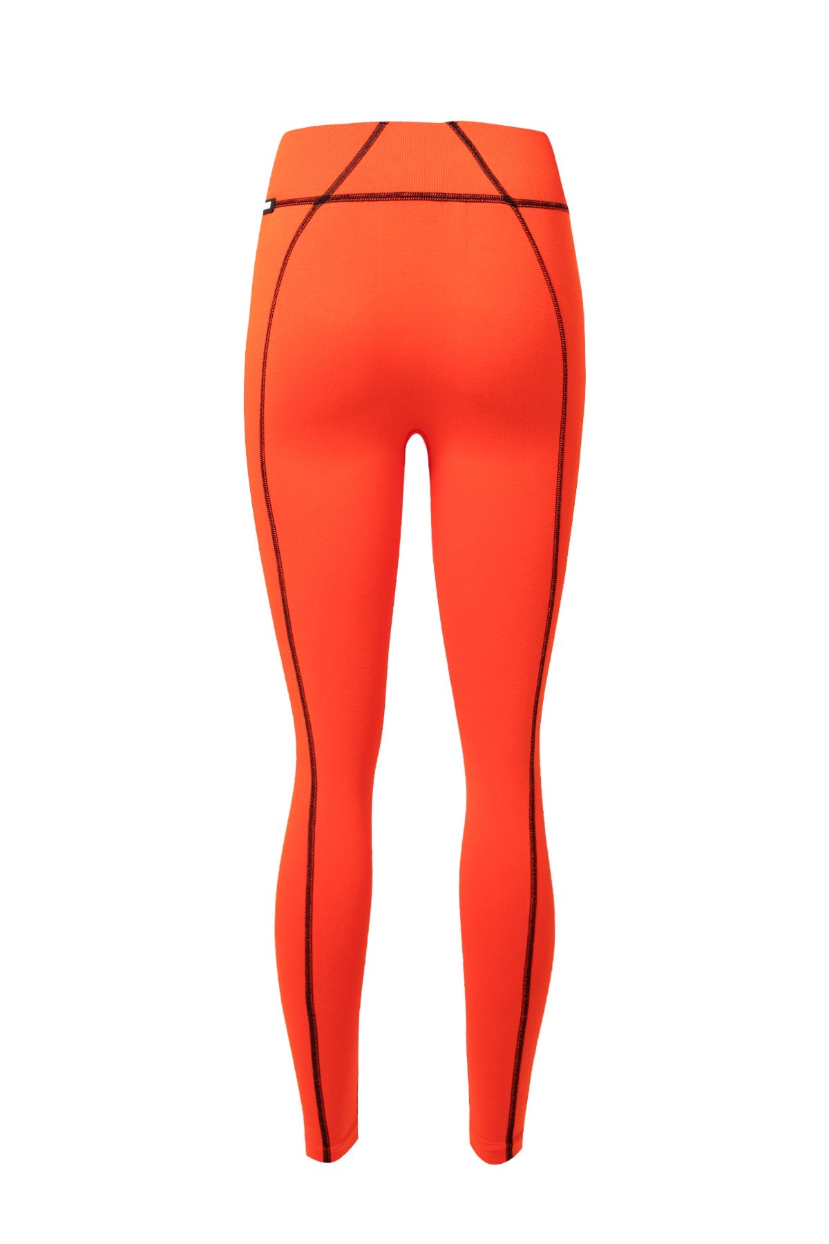 Orange Leggings 9387