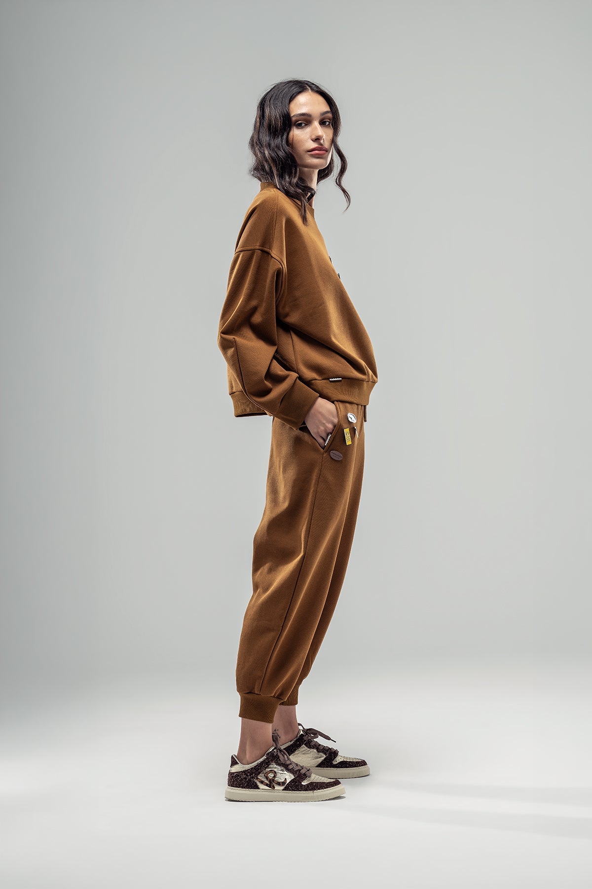 Brown Sweatshirt 20071
